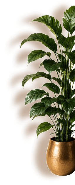 Plant Decoration
