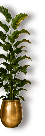 Plant Decoration