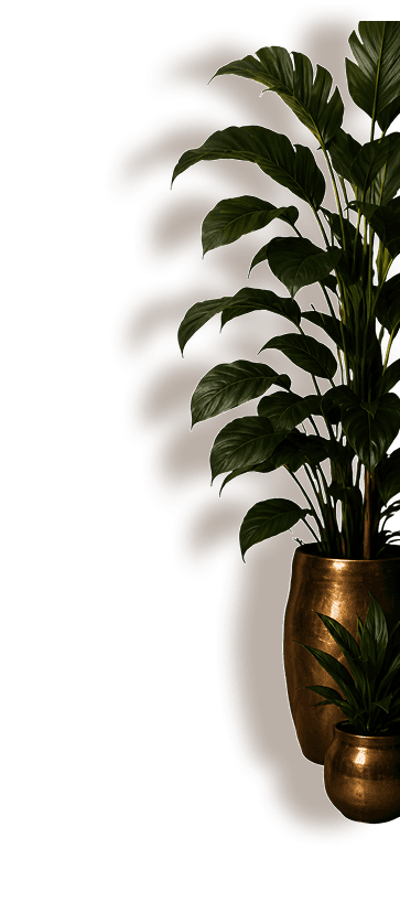 Plant Decoration